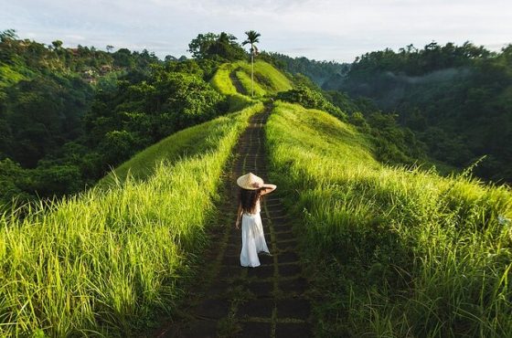Best Things to Do in Ubud, Bali: Culture, Nature & Wellness